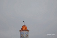 Viena